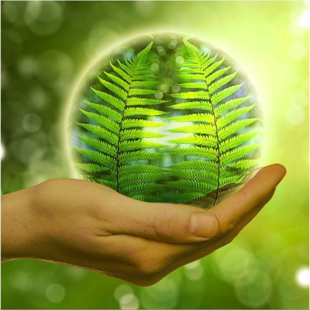 Green Future pixabay